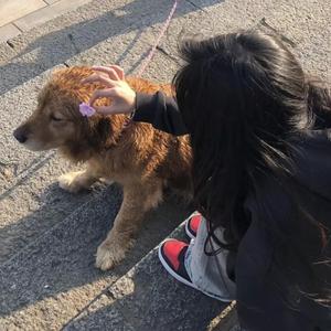 无套内谢中国XXXXX
